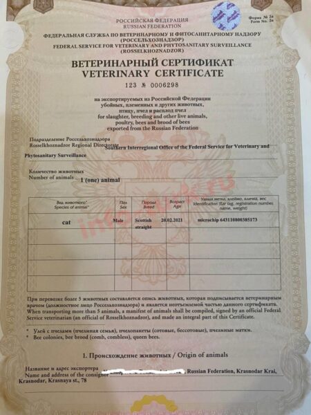 Ветеринарный сертификат (Форма международного образца)