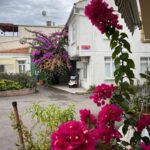 Принцевы острова в Стамбуле: как добраться и что посмотреть 18 принцевы острова, Принцевы острова в Стамбуле: как добраться и что посмотреть