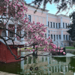 Дворец Долмабахче в Стамбуле: история, фото, цена часы работы 27 долмабахче, Дворец Долмабахче в Стамбуле: история, фото, цена часы работы